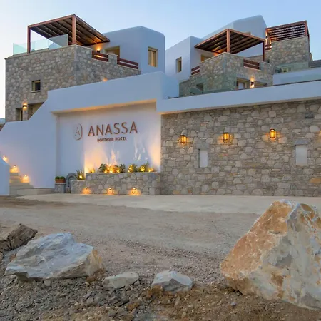 Anassa Boutique Hotel 3*